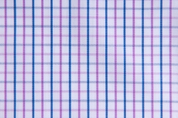 22385_270.jpg
